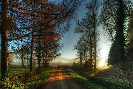 walk-on-a-beautiful-morning