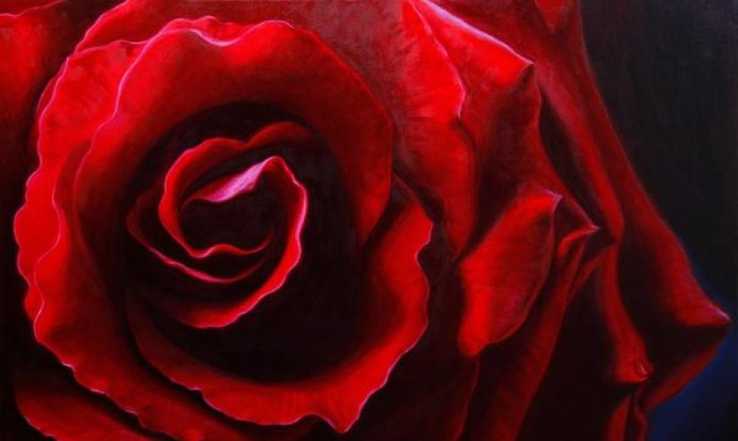 cropped-red-rose.jpg