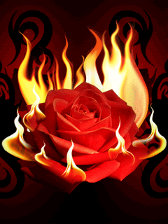 Burning Rose.gif