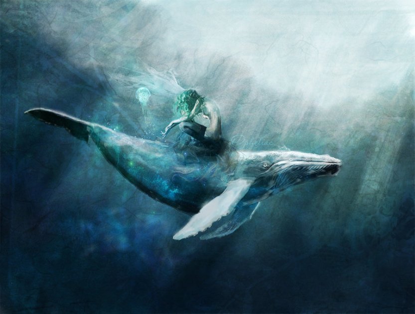 Whale.jpg