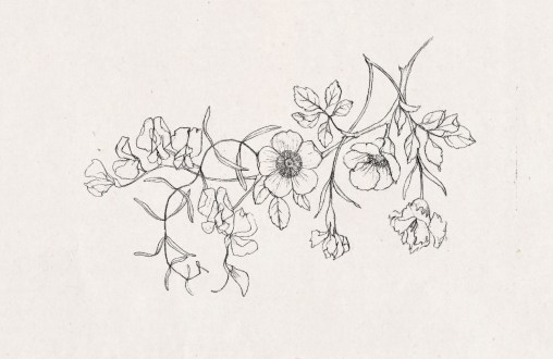 tumblr_o63c4zqIr01tu5tw2o1_1280