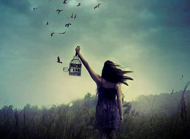 Free the Birds