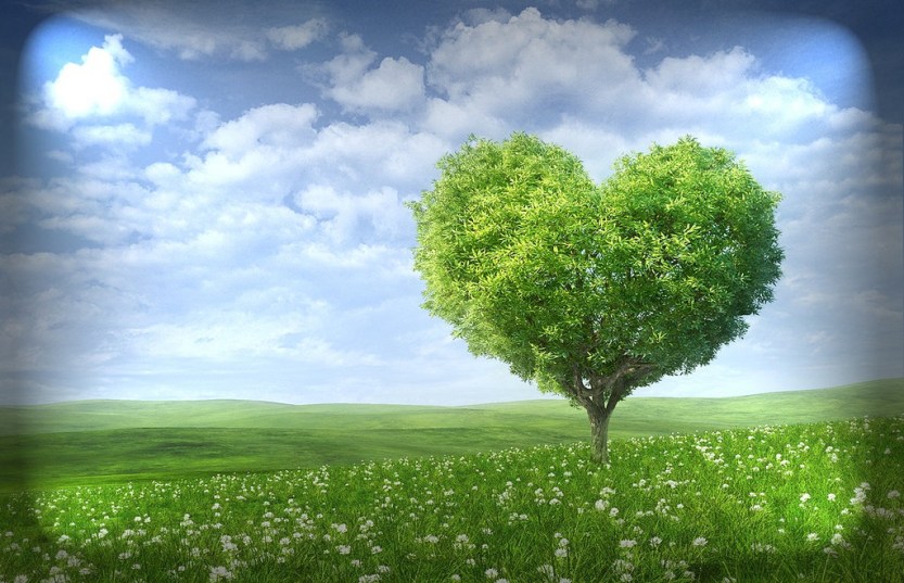 Heart Tree.jpg
