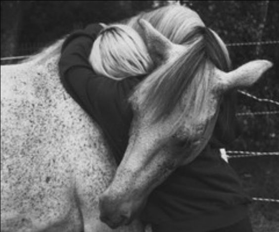 Horse Embrace.jpg