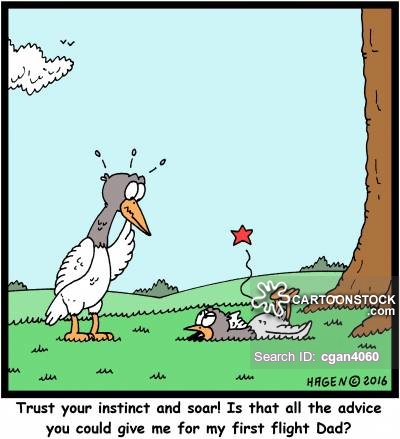Flight fail.jpg