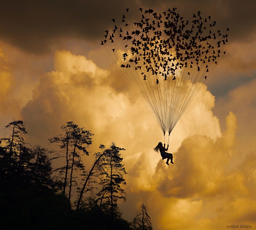 Flying with Birds.jpg