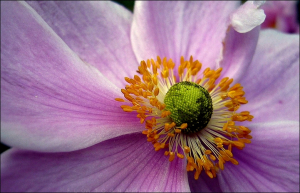 660161ad1f06fb4081ec7a22a0058a30